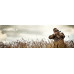 Прицел оптический Hawke Vantage IR 6-24x50 AO (Mil Dot IR R/G)