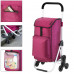 Сумка-візок ShoppingCruiser Stairs Climber 53 Fuchsia (604353)